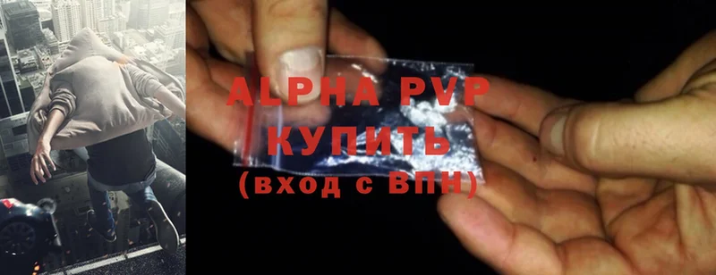 A-PVP СК  Инта 